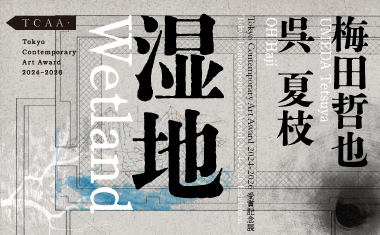 Tokyo Contemporary Art Award 2024-2026 受賞記念展「湿地」のサムネイル画像