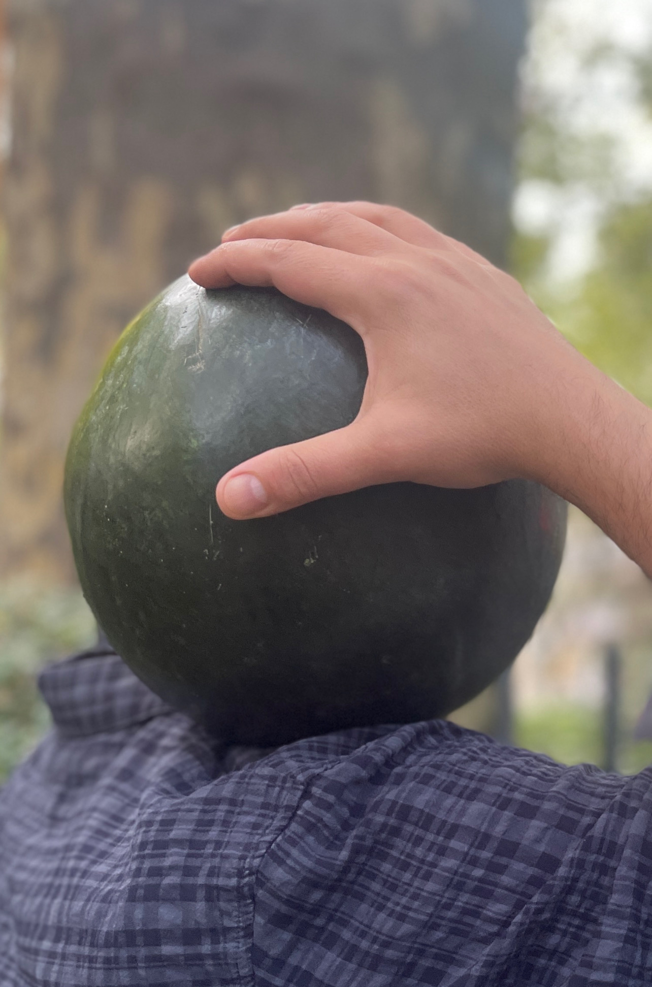 Image of Mihnea MIRCAN