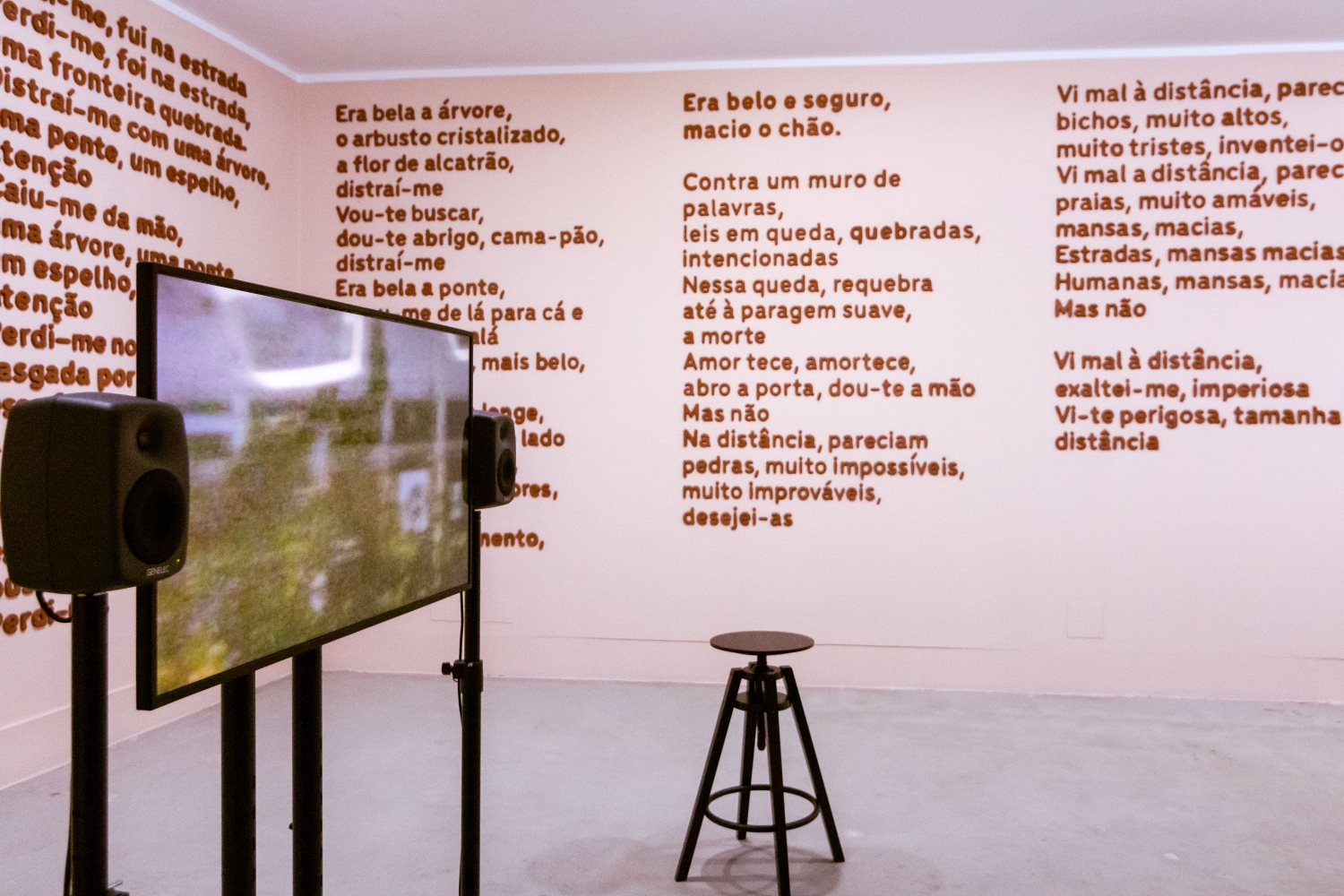 アナ・サラザール・エレーラ