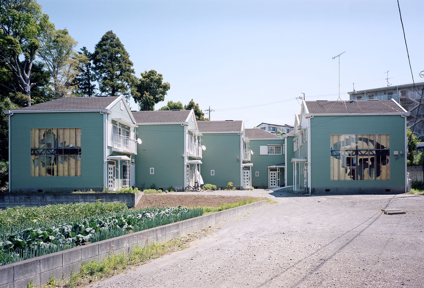  三野 新の画像