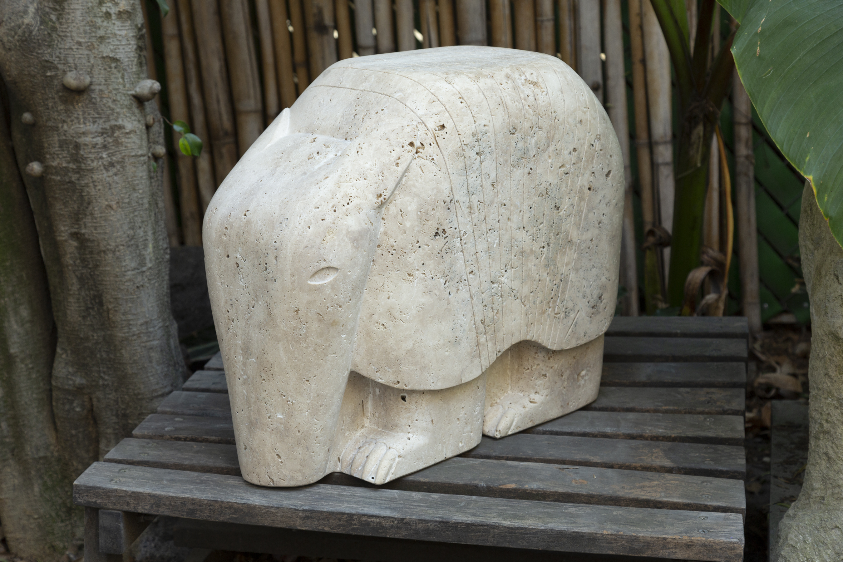  ディエゴ・ペレスの画像