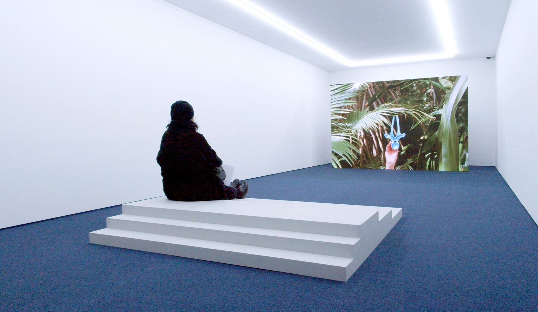  カロリナ・グルジウノヴィッツの画像